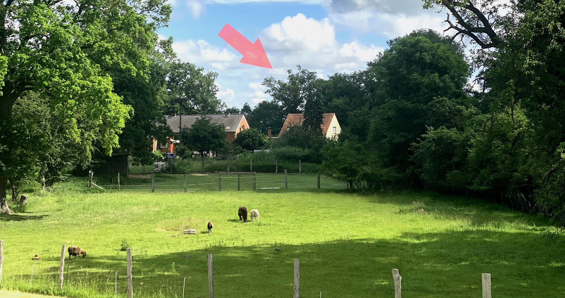 schön Wohnen am Deich in der Lenzerwische