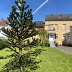 schönes Mehrfamilienhaus mit Hof und Nebengelass